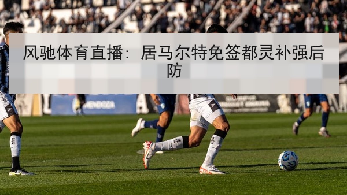 风驰体育直播: 居马尔特免签都灵补强后防