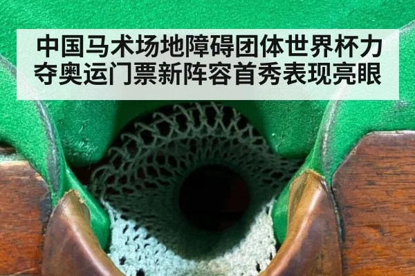 中国马术场地障碍团体世界杯力夺奥运门票新阵容首秀表现亮眼