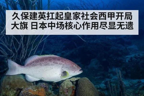 久保建英扛起皇家社会西甲开局大旗 日本中场核心作用尽显无遗